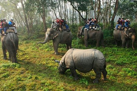Places Of Manali For Travel in hindi 7 Chitwan Tna