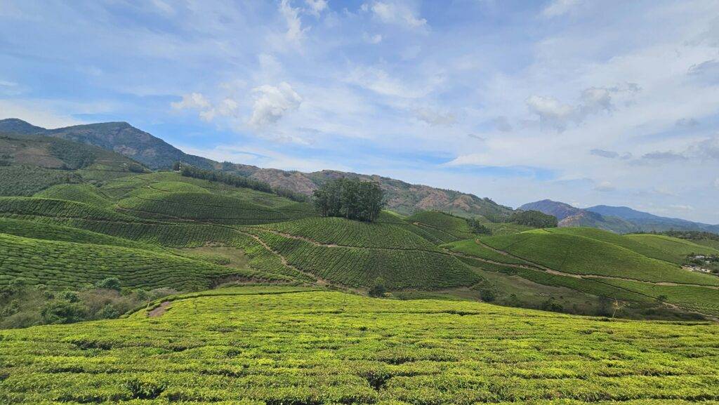 Top 5 travel places in Kerala in Hindi 1 केरल