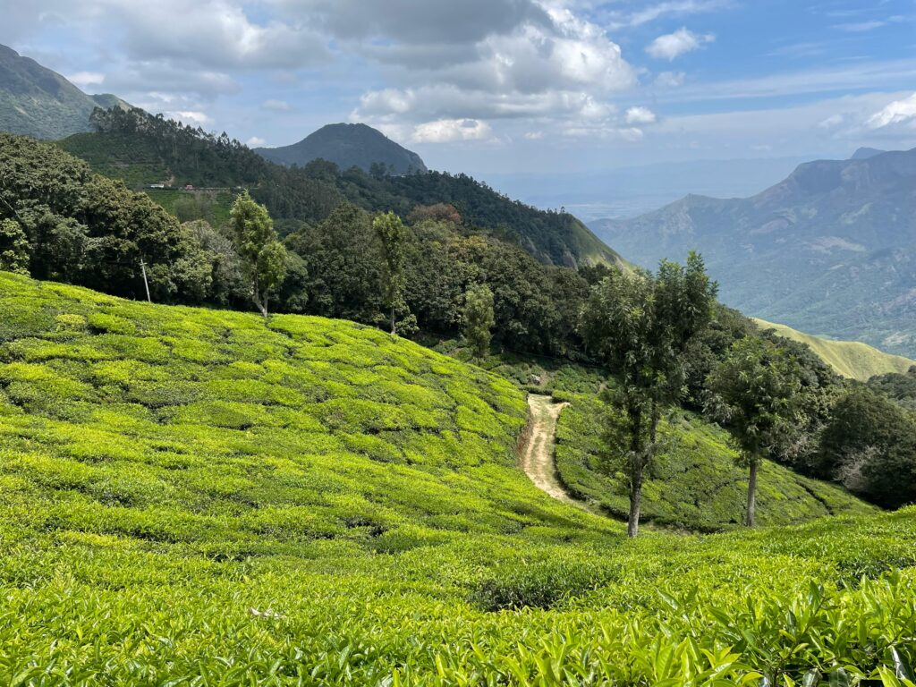 Top 5 travel places in Kerala in Hindi 2 pexels tarun nagpal 989312 28771906 1