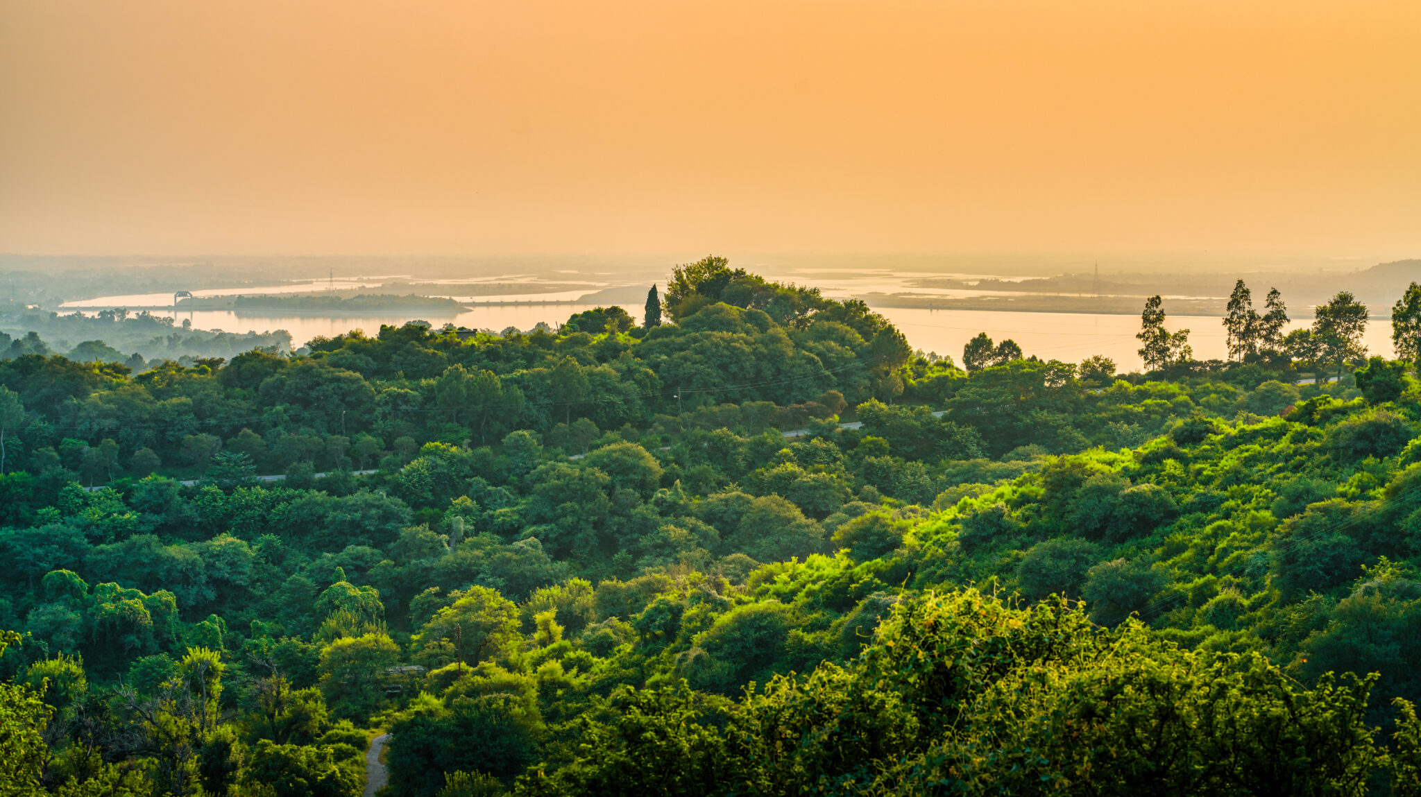 काजीरंगा राष्ट्रीय उद्यान 3 landscape-hills-covered-greenery-surrounded-by-sea-cloudy-sky-sunset