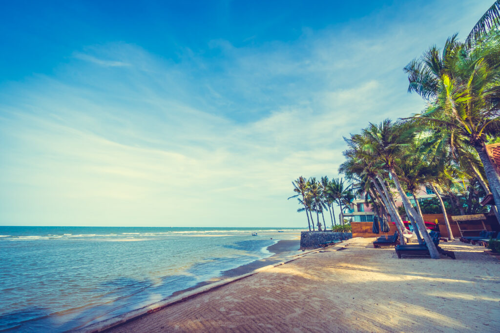 top beaches in maharstra in hindi 4 umbrella chair