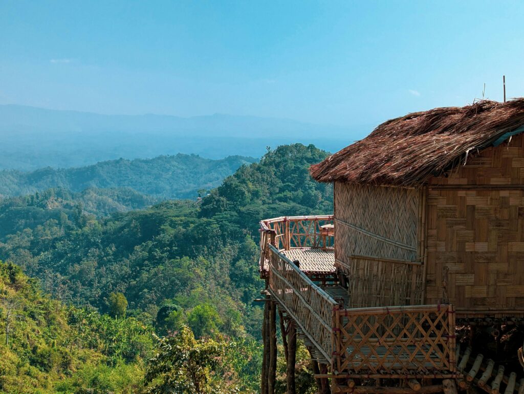 pexels rimon 30615807