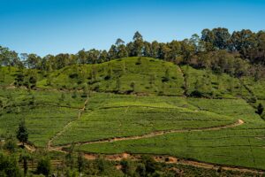 The Ultimate Guide to the World&rsquo;s Cheapest Countries to Travel from India (2026)