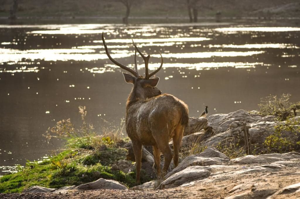 best national parks in India for families