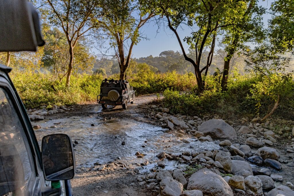 best national parks in India for families