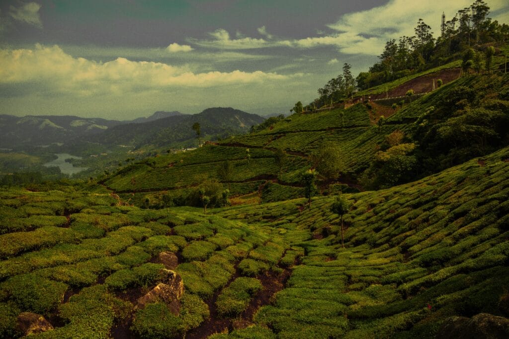 places to visit in South India during summer